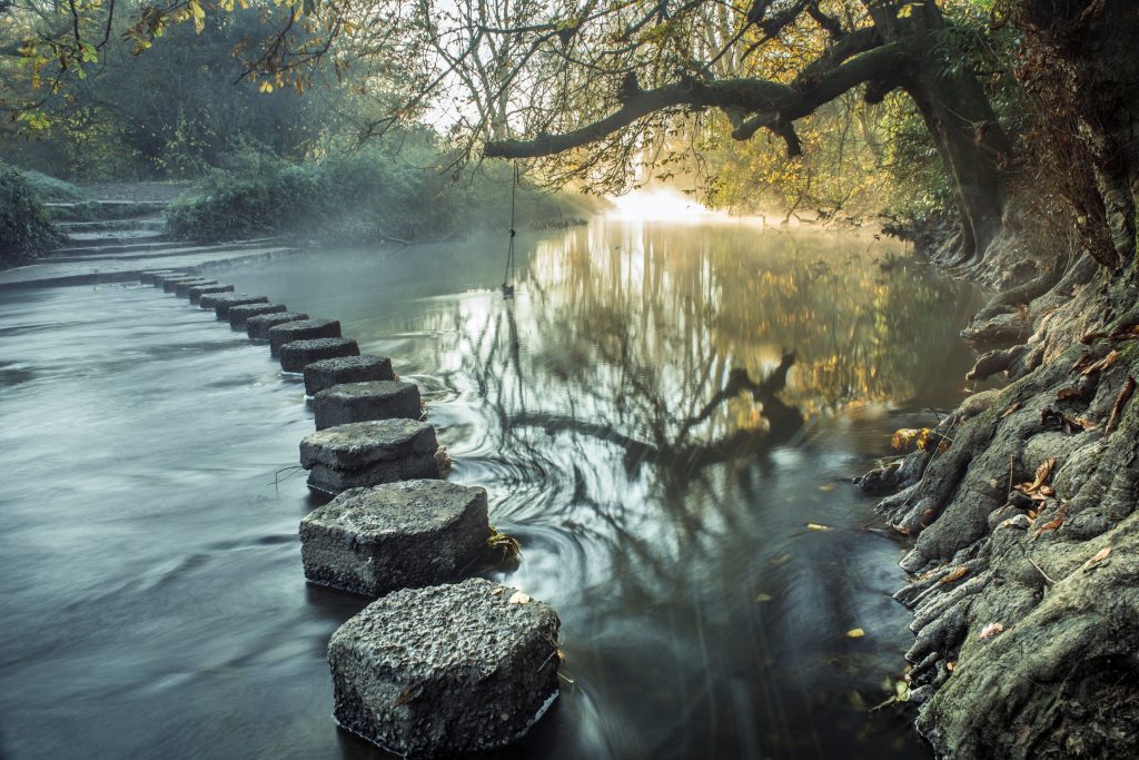 Trauer, Erwachsene, Ludwigsburg