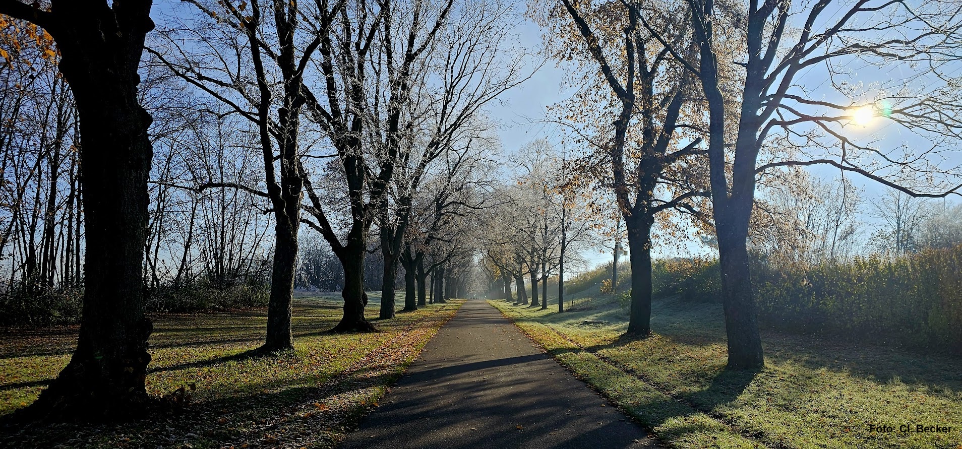 Spaziergänge für Menschen in Trauer