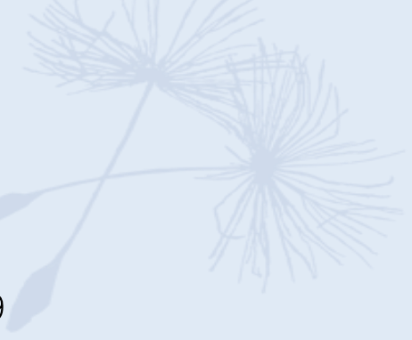Pusteblume